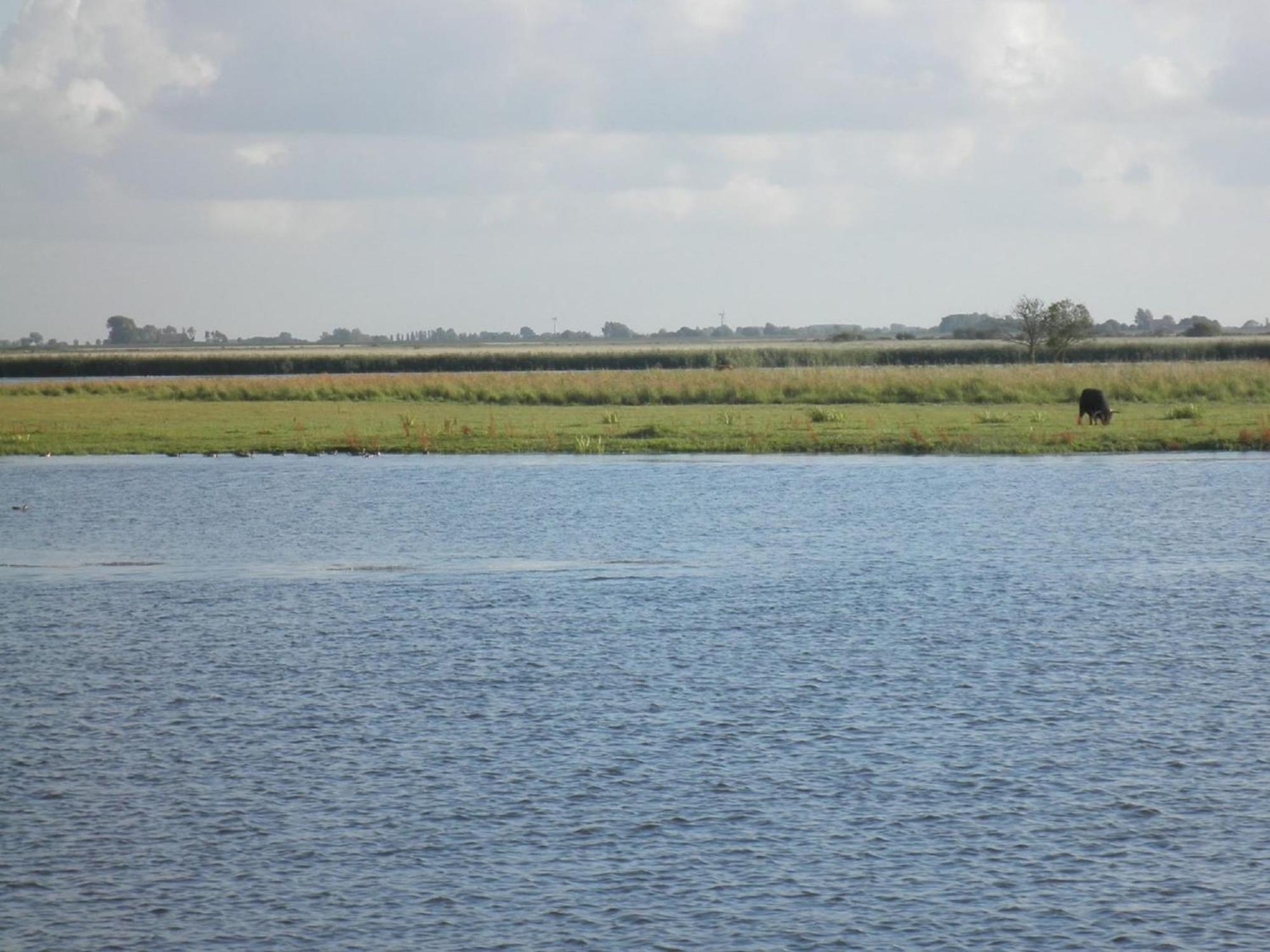 Het Kleine Huis Mobile Home By The Harbour And The Lauwersmeer أنيوم المظهر الخارجي الصورة